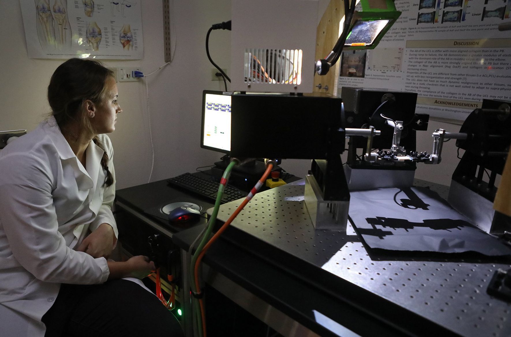 Wash U researchers are studying tendon damage